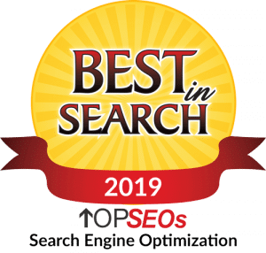 search engine optimization 2019 1 300x286 1