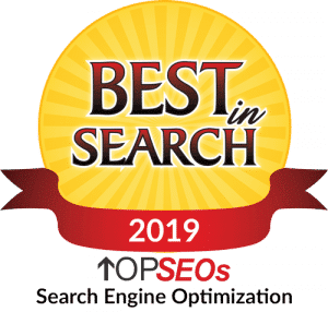 search engine optimization 2019 1 300x286 1 2 1